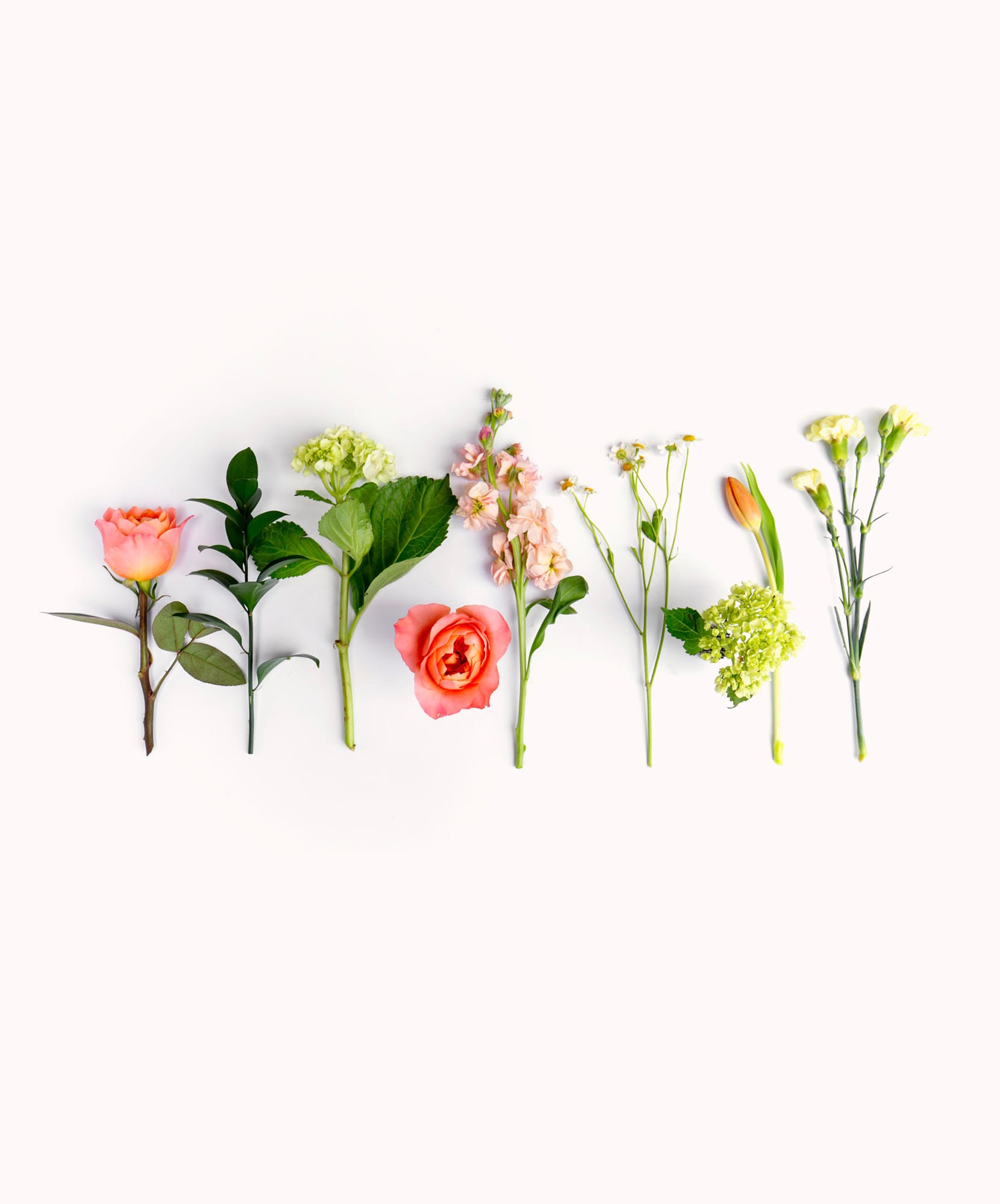 Colorful array of fresh flowers including roses and greens, ideal for floral arrangements.