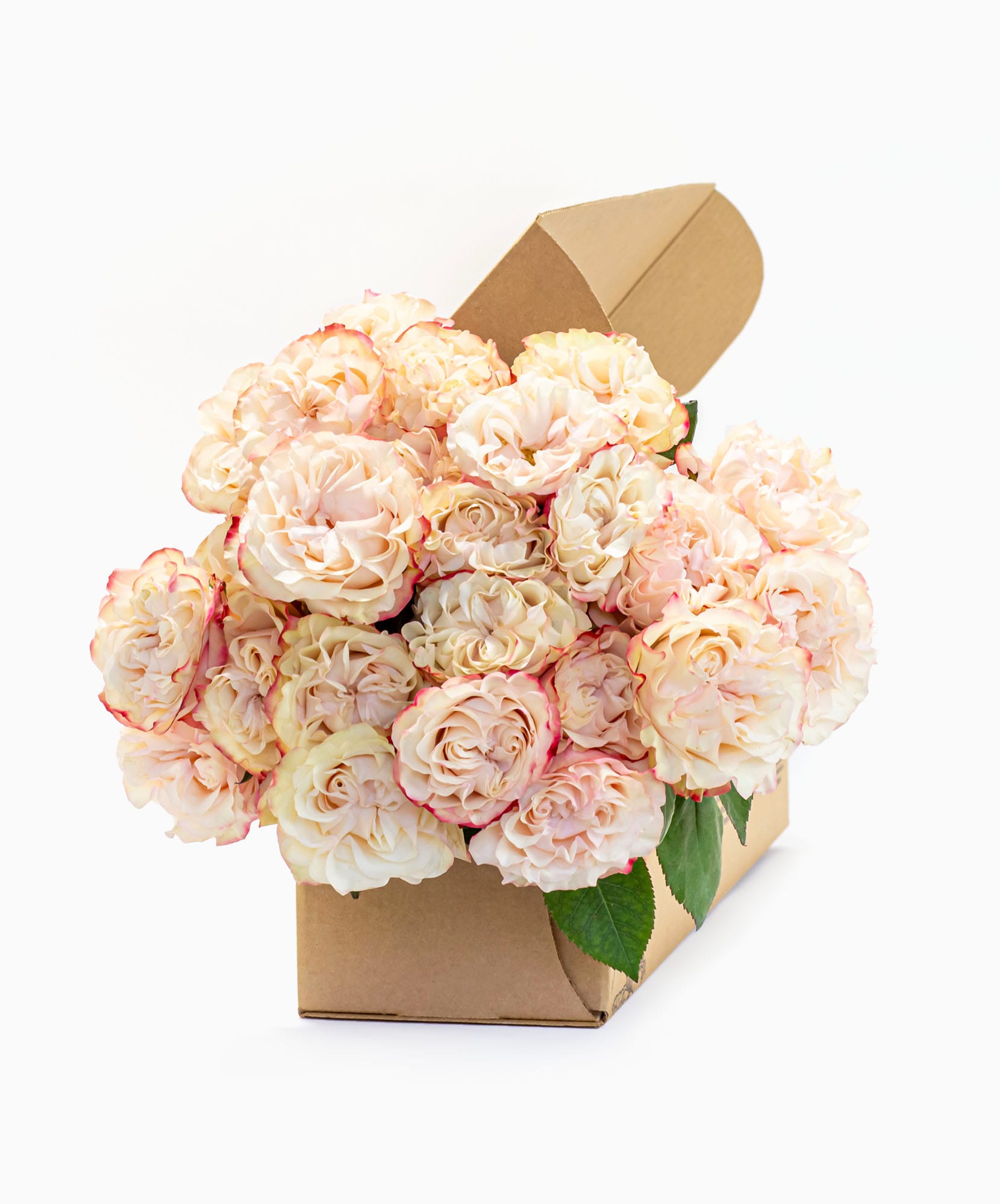 Delicate blush roses elegantly arranged in a charming gift box, perfect for any occasion.