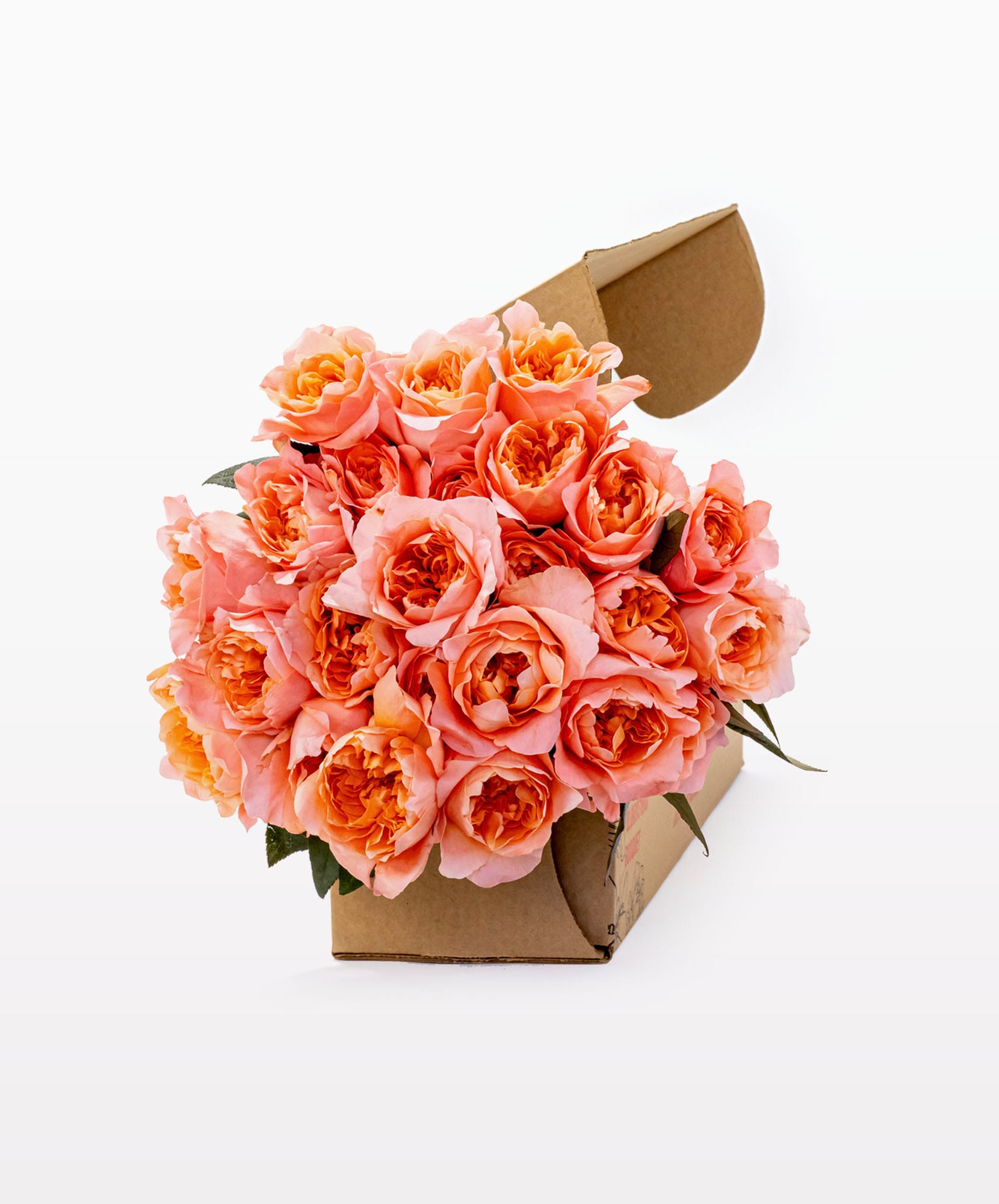 Vibrant bouquet of pink and peach roses elegantly arranged in a gift box.